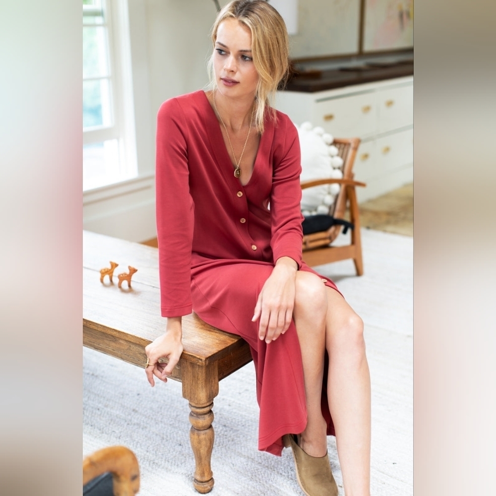 𝅺NWT Emerson Fry V neck long Button Up Maxi dress in rust / spice